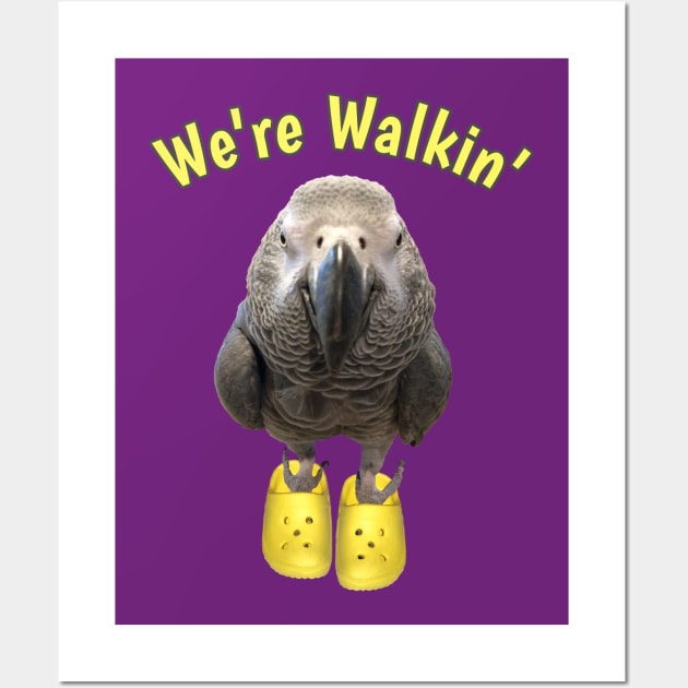 African Grey Parrot Walking Exercise Wall Art by Einstein Parrot